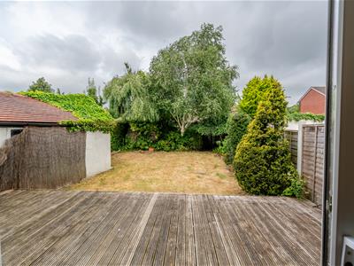 Picture 16